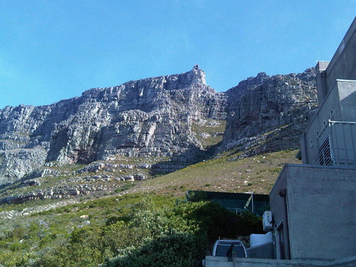 taalib2's profile picture. Tour S.Africa with the eyes of a Falcon with me as I take you on the most unforgettable experience Africa can  offer.FFTours the best in local, national and int