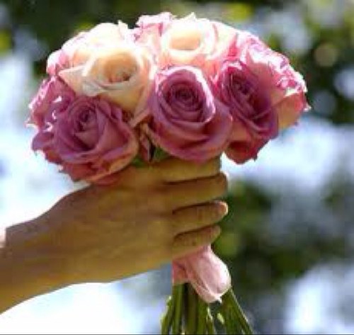 Real life wedding planning blog, all the fun and frenzy of a country garden wedding in Cheshire, UK