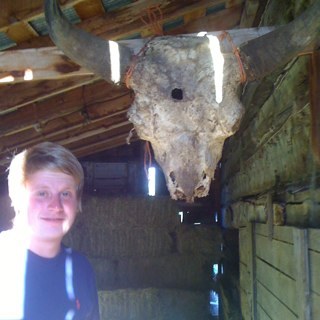 Quinny_93's profile picture. 