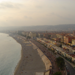 tyler06200's profile picture. 