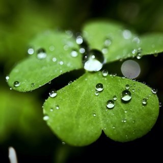 ksiarto's profile picture. 