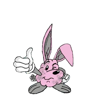 Dust Bunnies of Erie is a full service Residential and Commercial cleaning company located in Erie, Pa.