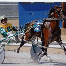 wood1232's profile picture. 