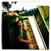 Elaine McCann (@laineymacmusic) Twitter profile photo