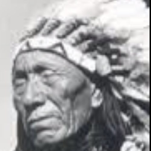 Animal lover, healer and member of the Senior Council (White Council).