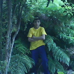 soy delantero de mi colegio tengo 11 años y soy bueno.Soy hincha y ademas fans de la U.C