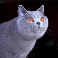 1980 (@1980) 's Twitter Profile Photo