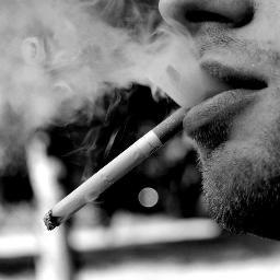 Weed 3