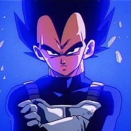 I'm Prince Vegeta, of The Saiyan Race, i'm training to surpass that clown Kakarot, my son Trunks and wife Bulma, You don't even know who I am! -Role Play-