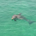 Kelly-Rae Brooks - @KellyRaeBrooks - Twitter