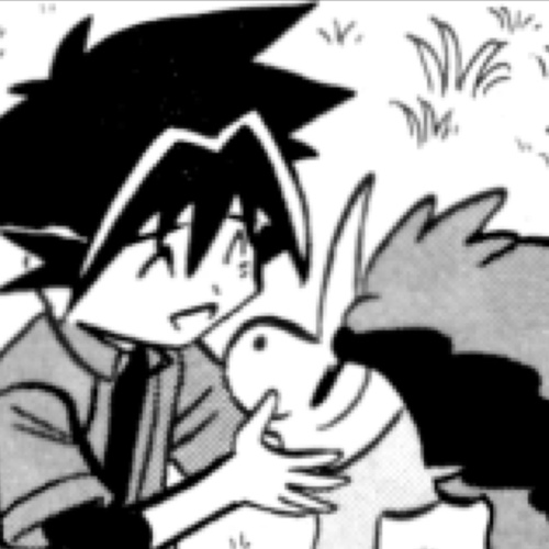 It is my duty to protect the world from darkness, but I must find the trio before that. Keldeo is my one and only Pokemon.