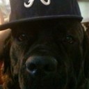 Ted Wayne Fink  - @FourleggedTed - Twitter