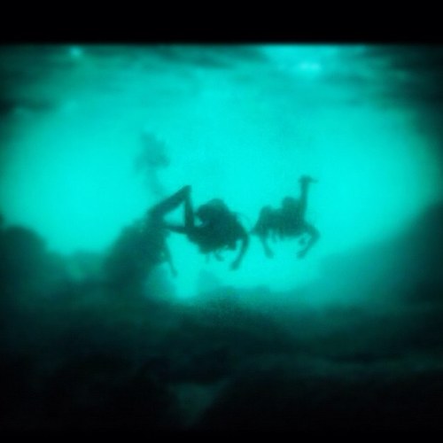 brandonspadi's profile picture. Marketing Executive at PADI Asia Pacific