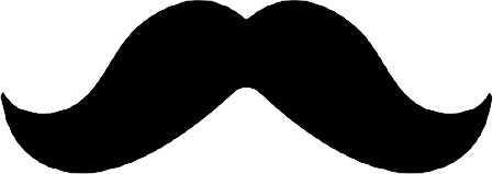 A l'aide d'un calendrier, nous allons réunir les 12 plus belles moustaches de Sherbrooke dans 12 superbes locaux de commerces de chez nous.Au profit du Movember