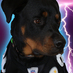 THUNDER (@thunderfromoz) Twitter profile photo THUNDER (@thunderfromoz) Twitter profile photo