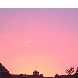 MillionMiracles's profile picture. One woman's journey to focus on the miracles, however small..or big, in everyday life experiences.