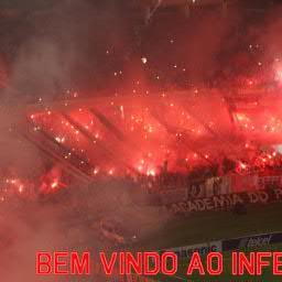 eu gosto de caes,futebol e internet
