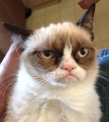 I purred once... IT WAS TERRIBLE.