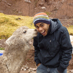 wipe's profile picture. 