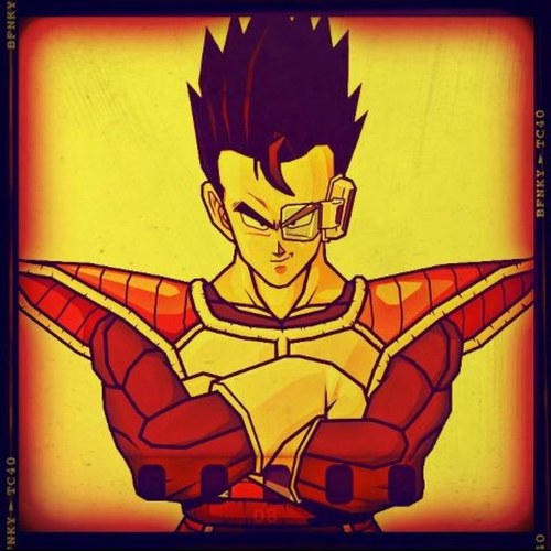 A new elite saiyan recruit for @KingVegeta_ 's army.