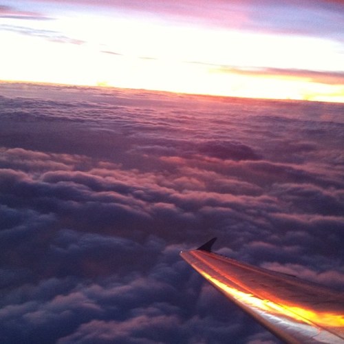 Shiryu_03's profile picture. 