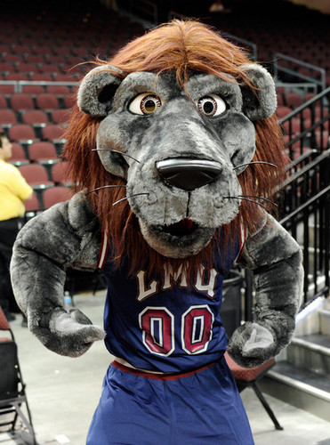 IggyLion1's profile picture. Studying Social Media in LA Politics for my Senior Thesis.