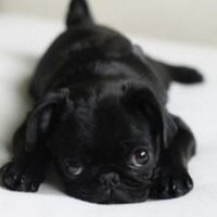 YippeKiYay (@yippekiyay1) 's Twitter Profile Photo YippeKiYay (@yippekiyay1) 's Twitter Profile Photo