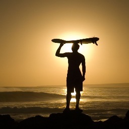 :: Surfing :: Auto Racing :: Fitness :: Pro2A :: ProLegalImmigration :: 🚫 trolls and people who can’t converse without being hateful.
