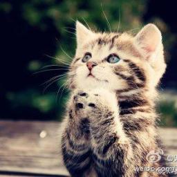 jake16888's profile picture. I like to travel and the arts is a person who is very interested in commercial activities, there is a network marketing skills, and love to share, want to know