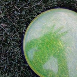 Disc_Golf_Fix's profile picture. With all the DG problems we have on Twitter, it's time to hear about your good times! Tweet your problem solutions, stories or pictures and I'll RT them. #DGFix