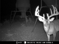 wcbrown41795's profile picture. baseball, construction,hunting and fishing,son is a Marine, NRA Lifer,never quit