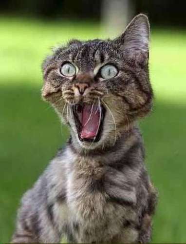 Tweeting about everyday crap. #WhatTheDale