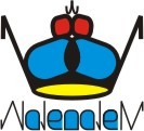 - Nalenalen Clothing Line -
Custom design, Games, Celebs, Traveling, and all. Our store is opening soon! Please follow us back