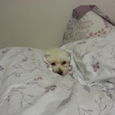 Daniel Sim - @danielsim25 - Twitter