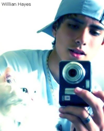 sem Bio, se quiser saber, me segui k