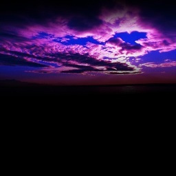 lauransanchez's profile picture. 