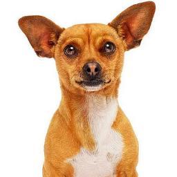 _ppapi's profile picture. Rumbσ α lσs 1.000♥ Fans◔̯◔! © Pagina Original & Auténtico® █║▌τσdσs lσs Dεяεcнσs яεsεяvαdσs █║▌│ █│║▌ ║││█║█ Pagina Official De Twitter