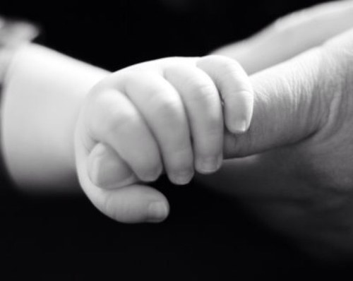 Extralbsnomore's profile picture. Dogs are mans bestfriend. Shoes are womens.