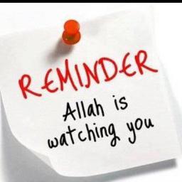 akifhurzuk's profile picture. 