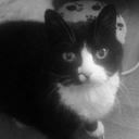 Anne Farewell - @afarewell - Twitter