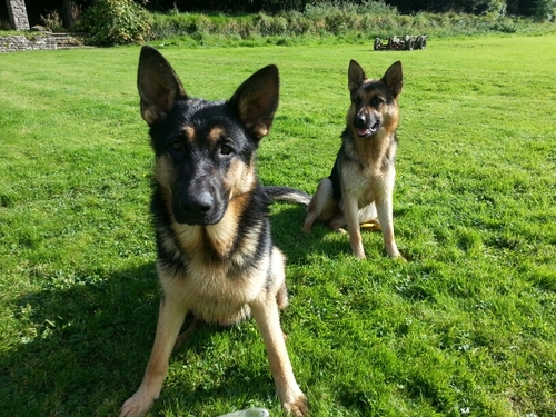 hiltondelaney's profile picture. 