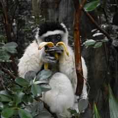 GeorginaBalfour's profile picture. Founder of Community Roots CIC, personal interest in social media, communities and tweets about my dog