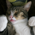 Robbert (@robbert80) Twitter profile photo Robbert (@robbert80) Twitter profile photo
