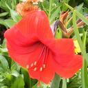 anne corey - @ACorey87 - Twitter