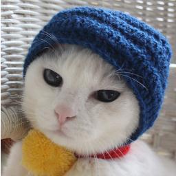 Daimler293's profile picture. 相手を８０の爺さんだと思って表現するように心がけていますが、つたわらなかったら御免なさい。