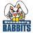 5700rabbits's profile image