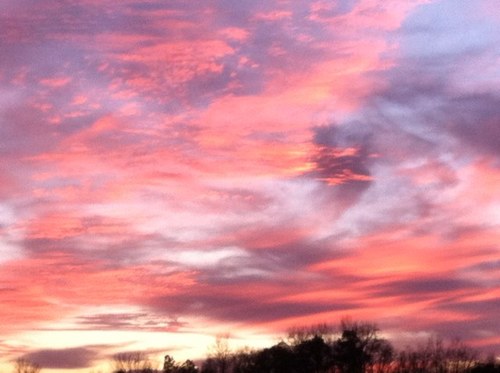 frankrneal's profile picture. 