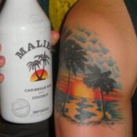 Robert Alsop (@sloppers) 's Twitter Profile