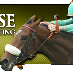Expert Horse Racing Handicapper. The man who finds the most winners and longshots.