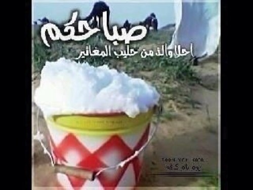 ALkwuty's profile picture. 